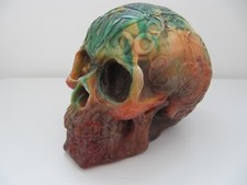 human skull for sale human skull for sale FELIXSTOWE