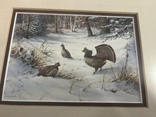 Owen gromme quail for sale  Milwaukee