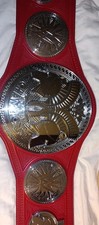 Official wwe raw for sale  Sharon