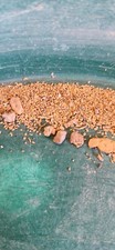 Gold rich paydirt for sale  Dayton