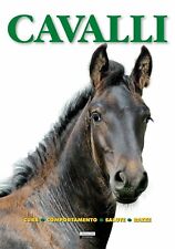 Cavalli. cura comportamento usato  Italia