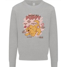 Anatomie chiot sweat d'occasion  Expédié en France