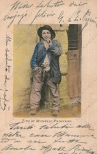 1901 padova tipo usato  Cremona