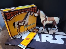 Storm cloud horse for sale  Sevierville