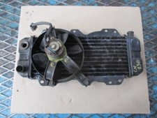 Radiatore completo elettrovent usato  Roma