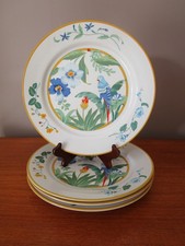 Assiettes plates modèle d'occasion  France