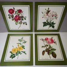 Vtg. beautiful roses for sale  Stockbridge