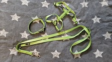 Set hundehalsband geschirr gebraucht kaufen  Freren