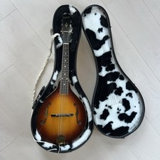 Kentucky mandolin 180 for sale  Waseca