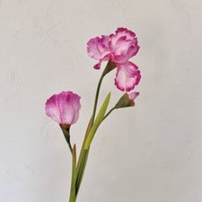 Heads iris artificial for sale  MANCHESTER