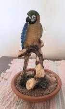 Cute ceramic parrot for sale  BISHOPTON