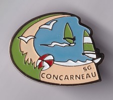 Rare pins pin d'occasion  Ménéac