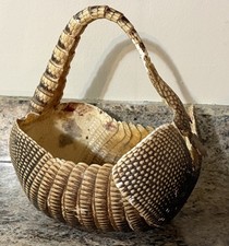 Armadillo taxidermy oddity for sale  Randolph