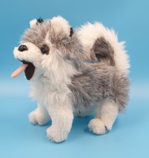 Husky hund lang gebraucht kaufen  Verl
