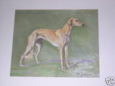 Antique saluki dog for sale  WARRINGTON