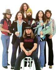 1970s lynyrd skynyrd for sale  Wilson
