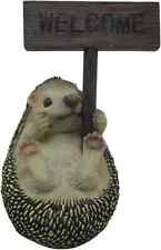 Hedgehog garden ornament for sale  GRANTHAM