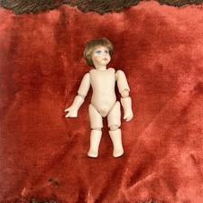 Reproduction porcelain anatomi for sale  San Luis Obispo