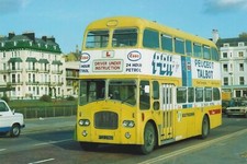 Colour photo southdown for sale  TAUNTON