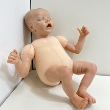 Incredibly realistic reborn for sale  Montrose