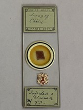 Antique microscope slide. for sale  LANCING