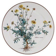 Speiseteller groß anthemis gebraucht kaufen  Kappeln