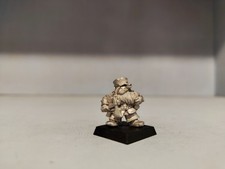 Warhammer fantasy dwarfs usato  Bastia Umbra