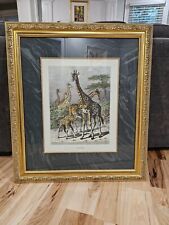Friedrich specht giraffe for sale  Shawnee