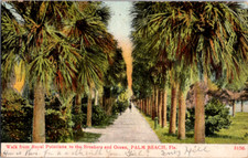 Cartão postal vintage Palm Beach Florida Royal Poinciana Palm Tree Path Walk comprar usado  Enviando para Brazil