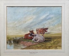 Cattle pool watercolour for sale  SHEPTON MALLET