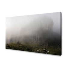 Canvas leinwandbilder wandbild gebraucht kaufen  Großröhrsdorf