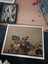 Fruit Basket Michelangelo Da Caravaggio 1573-1610 comprar usado  Enviando para Brazil