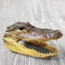 Alligator 6.5 inch for sale  Parma