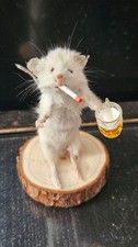 Taxidermy funny smoking for sale  LONDON