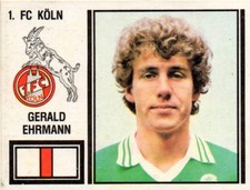 Panini fußball ehrmann gebraucht kaufen  Witzenhausen