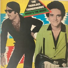 Fabulous thunderbirds vinyl for sale  BOURNEMOUTH