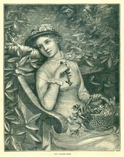 1885 vintage print for sale  Sebastian