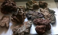 Totgestein lebendgestein meerw gebraucht kaufen  Bünde