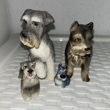 German schnauzer dog for sale  BIRMINGHAM