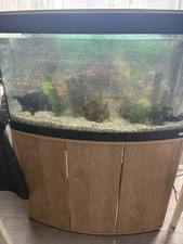 3ft curved jewel for sale  HEMEL HEMPSTEAD