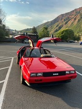 1981 delorean for sale  Glenwood Springs