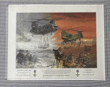 Naujokas falklands iraq for sale  LONDON