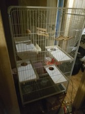 Large bird cage for sale  BIRMINGHAM