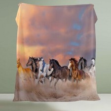 Soft flannel blanket for sale  USA