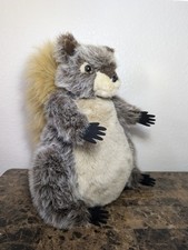 Rare carstens squirrel for sale  Grand Junction