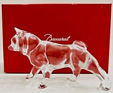 Baccarat dog shiba for sale  Dublin