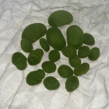 Piece foam rock for sale  Bethel Island