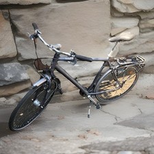 Pegasus solero 28 gebraucht kaufen  Fruerlund,-Engelsby, Tastrup