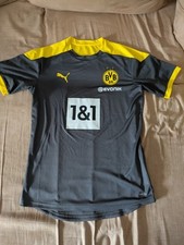 Bvb borussia dortmund gebraucht kaufen  Heuchelheim