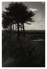 Japan road near d'occasion  Expédié en Belgium